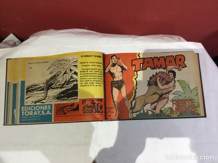 Cómics: Coleccion completa de 41 ejemplares Tamar originales encuadernados.de 145a186-editorial toray 1961 - Foto 13 - 243335980