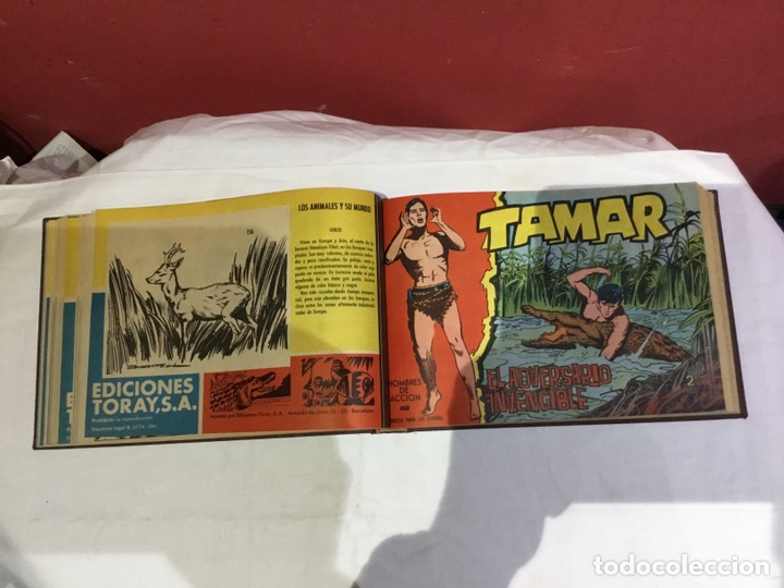 Cómics: Coleccion completa de 41 ejemplares Tamar originales encuadernados.de 145a186-editorial toray 1961 - Foto 14 - 243335980