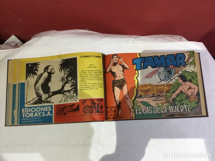 Cómics: Coleccion completa de 41 ejemplares Tamar originales encuadernados.de 145a186-editorial toray 1961 - Foto 15 - 243335980