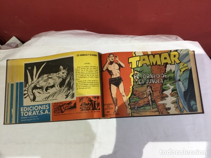 Cómics: Coleccion completa de 41 ejemplares Tamar originales encuadernados.de 145a186-editorial toray 1961 - Foto 16 - 243335980