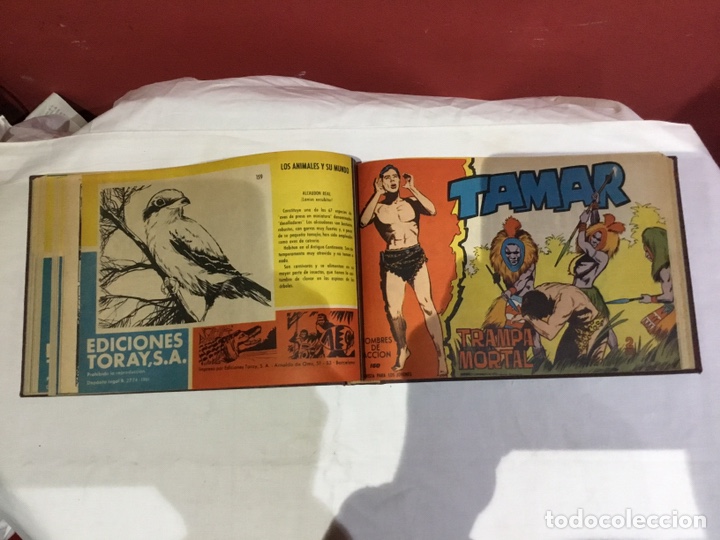 Cómics: Coleccion completa de 41 ejemplares Tamar originales encuadernados.de 145a186-editorial toray 1961 - Foto 17 - 243335980