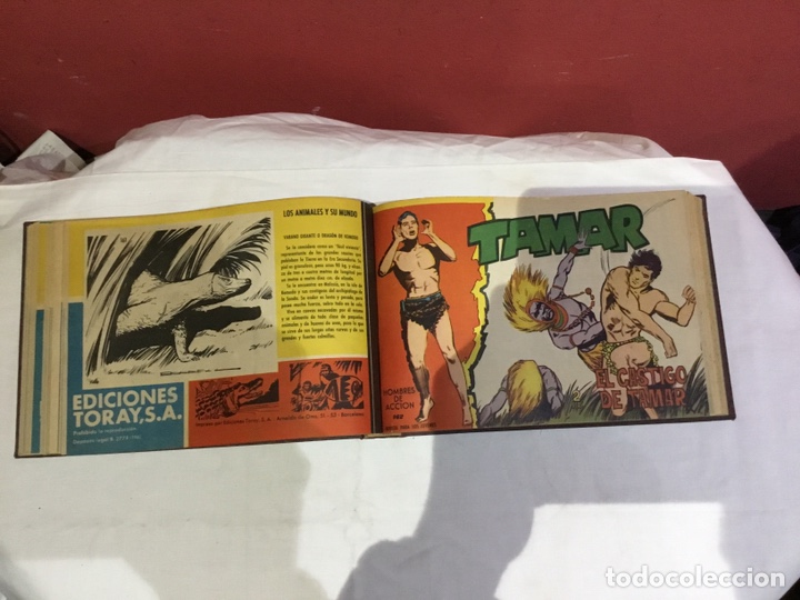 Cómics: Coleccion completa de 41 ejemplares Tamar originales encuadernados.de 145a186-editorial toray 1961 - Foto 19 - 243335980