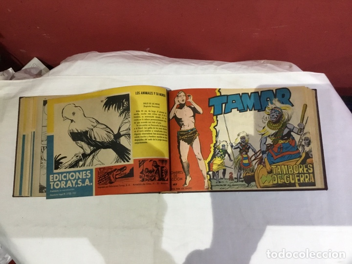 Cómics: Coleccion completa de 41 ejemplares Tamar originales encuadernados.de 145a186-editorial toray 1961 - Foto 20 - 243335980