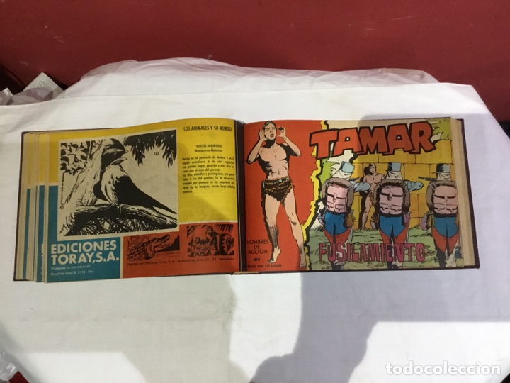 Cómics: Coleccion completa de 41 ejemplares Tamar originales encuadernados.de 145a186-editorial toray 1961 - Foto 21 - 243335980