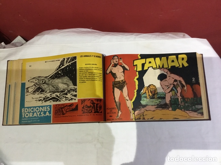 Cómics: Coleccion completa de 41 ejemplares Tamar originales encuadernados.de 145a186-editorial toray 1961 - Foto 22 - 243335980