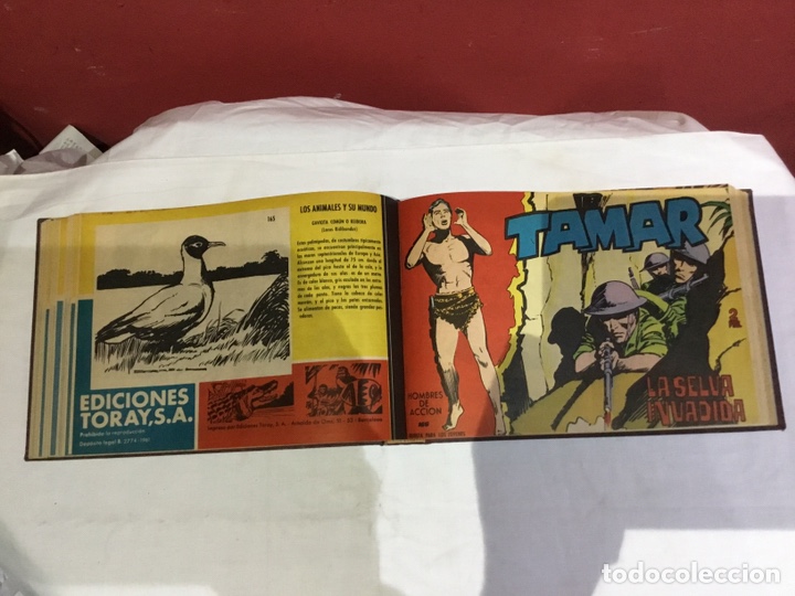 Cómics: Coleccion completa de 41 ejemplares Tamar originales encuadernados.de 145a186-editorial toray 1961 - Foto 23 - 243335980