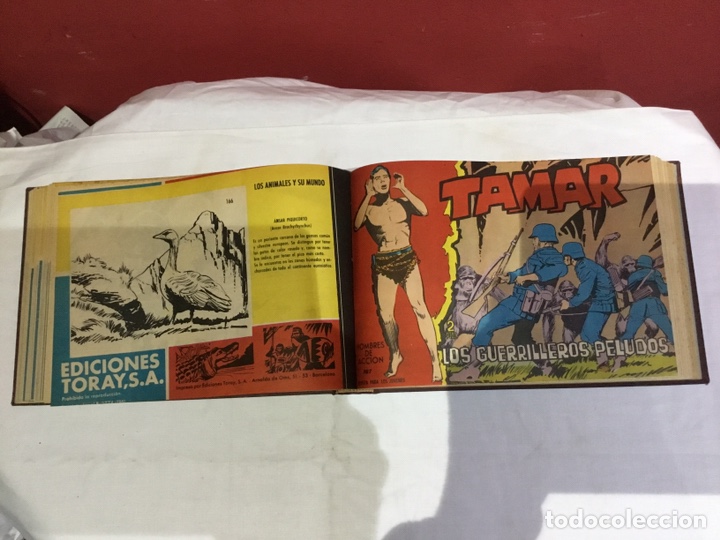 Cómics: Coleccion completa de 41 ejemplares Tamar originales encuadernados.de 145a186-editorial toray 1961 - Foto 24 - 243335980