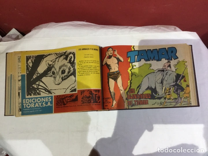 Cómics: Coleccion completa de 41 ejemplares Tamar originales encuadernados.de 145a186-editorial toray 1961 - Foto 25 - 243335980