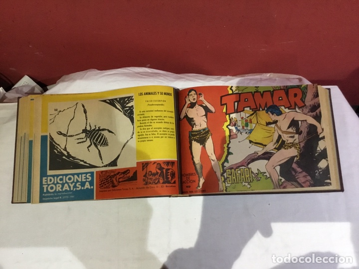 Cómics: Coleccion completa de 41 ejemplares Tamar originales encuadernados.de 145a186-editorial toray 1961 - Foto 26 - 243335980
