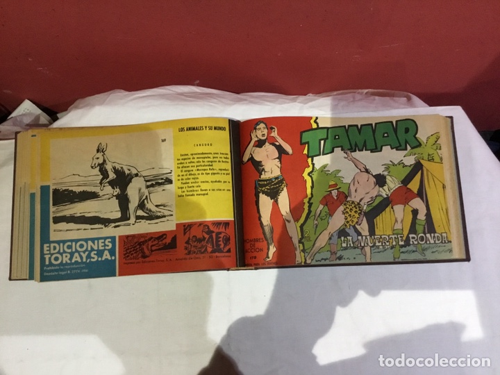 Cómics: Coleccion completa de 41 ejemplares Tamar originales encuadernados.de 145a186-editorial toray 1961 - Foto 27 - 243335980