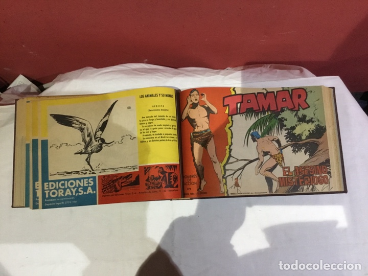 Cómics: Coleccion completa de 41 ejemplares Tamar originales encuadernados.de 145a186-editorial toray 1961 - Foto 28 - 243335980