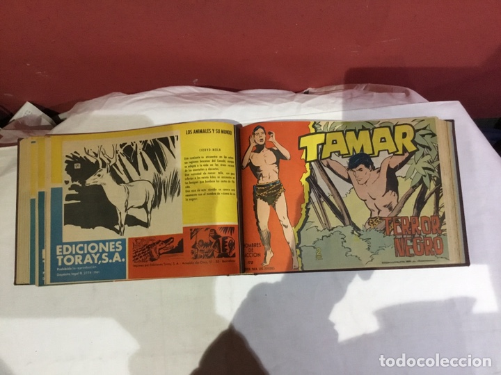 Cómics: Coleccion completa de 41 ejemplares Tamar originales encuadernados.de 145a186-editorial toray 1961 - Foto 29 - 243335980