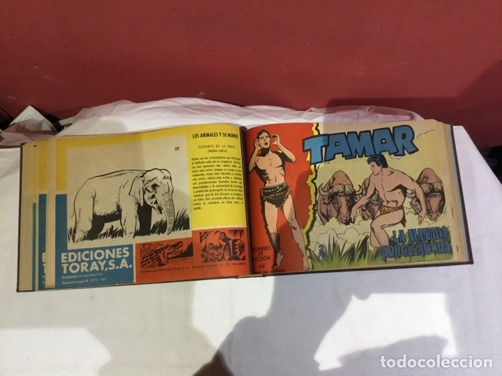 Cómics: Coleccion completa de 41 ejemplares Tamar originales encuadernados.de 145a186-editorial toray 1961 - Foto 30 - 243335980