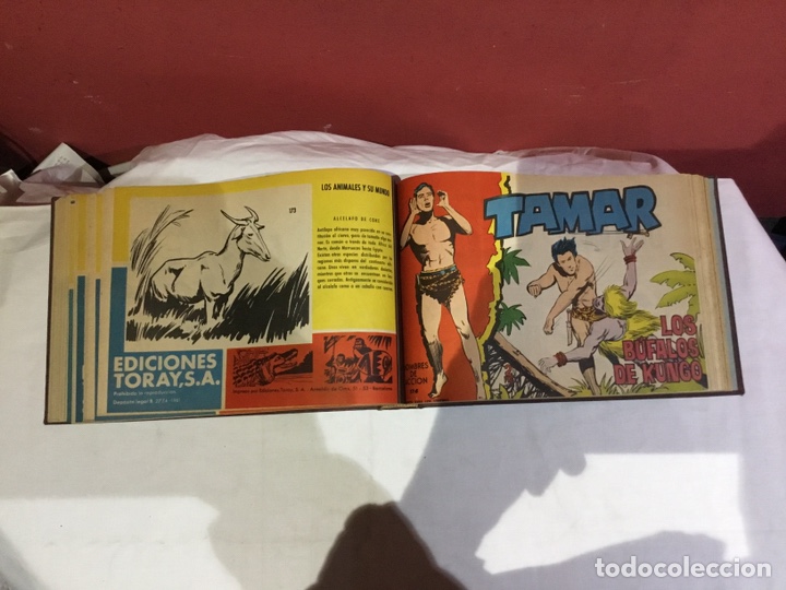 Cómics: Coleccion completa de 41 ejemplares Tamar originales encuadernados.de 145a186-editorial toray 1961 - Foto 31 - 243335980