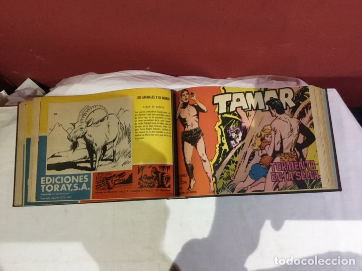 Cómics: Coleccion completa de 41 ejemplares Tamar originales encuadernados.de 145a186-editorial toray 1961 - Foto 32 - 243335980