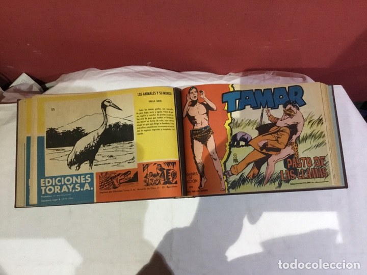 Cómics: Coleccion completa de 41 ejemplares Tamar originales encuadernados.de 145a186-editorial toray 1961 - Foto 33 - 243335980