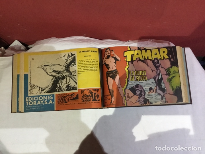 Cómics: Coleccion completa de 41 ejemplares Tamar originales encuadernados.de 145a186-editorial toray 1961 - Foto 34 - 243335980