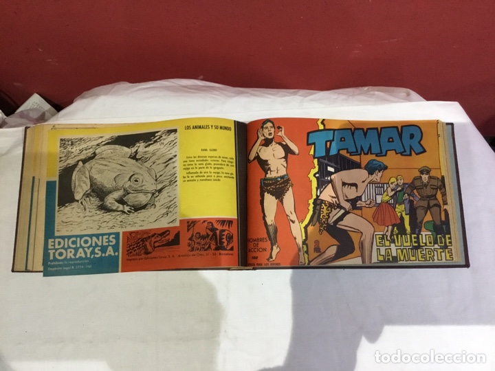 Cómics: Coleccion completa de 41 ejemplares Tamar originales encuadernados.de 145a186-editorial toray 1961 - Foto 37 - 243335980