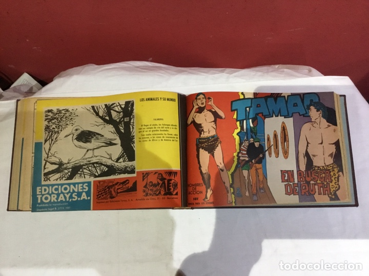 Cómics: Coleccion completa de 41 ejemplares Tamar originales encuadernados.de 145a186-editorial toray 1961 - Foto 38 - 243335980