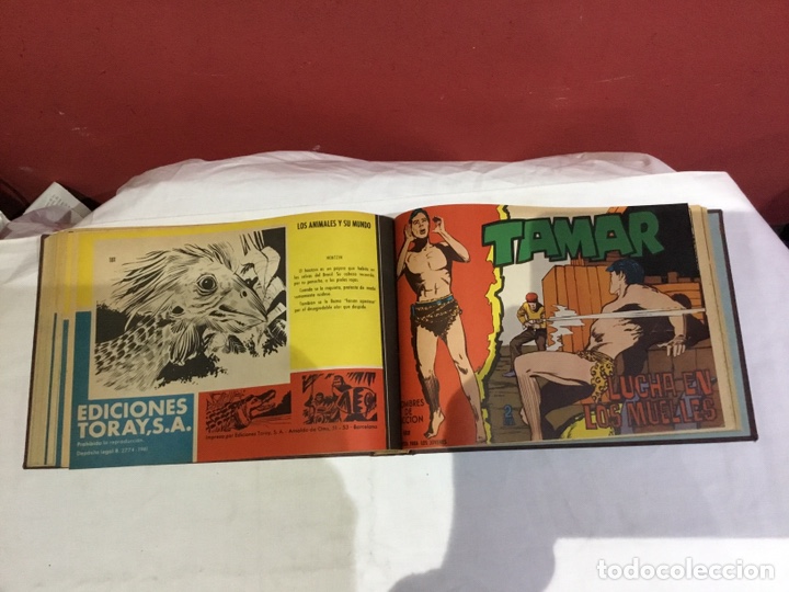 Cómics: Coleccion completa de 41 ejemplares Tamar originales encuadernados.de 145a186-editorial toray 1961 - Foto 39 - 243335980