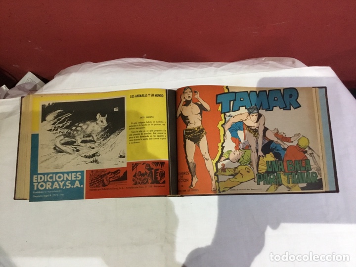 Cómics: Coleccion completa de 41 ejemplares Tamar originales encuadernados.de 145a186-editorial toray 1961 - Foto 40 - 243335980
