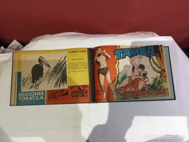 Cómics: Coleccion completa de 41 ejemplares Tamar originales encuadernados.de 145a186-editorial toray 1961 - Foto 42 - 243335980