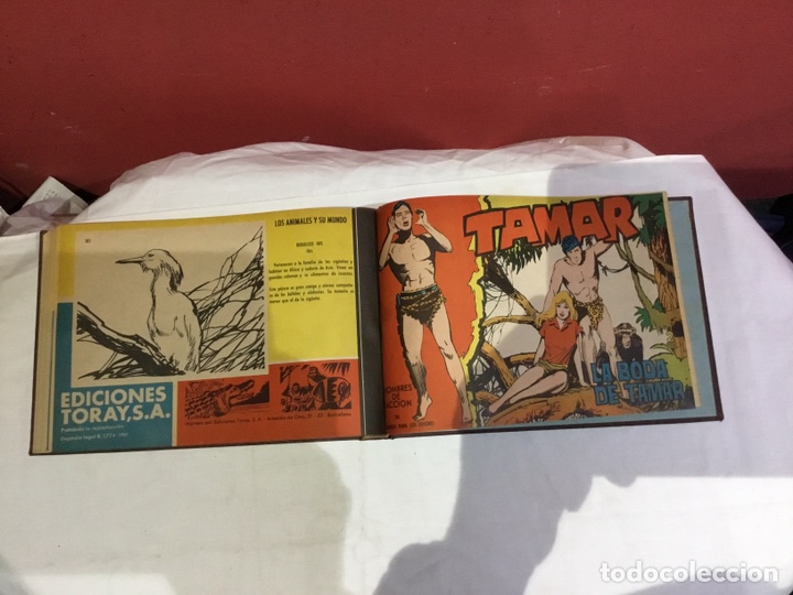 Cómics: Coleccion completa de 41 ejemplares Tamar originales encuadernados.de 145a186-editorial toray 1961 - Foto 43 - 243335980