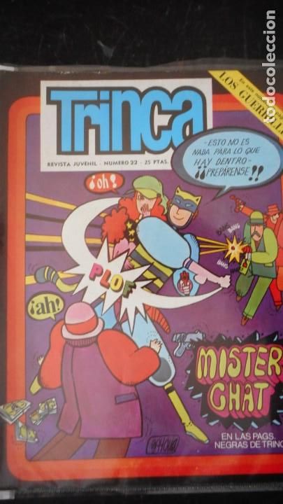 C&oacute;mics: TRINCA N&ordm; 22 / C-10