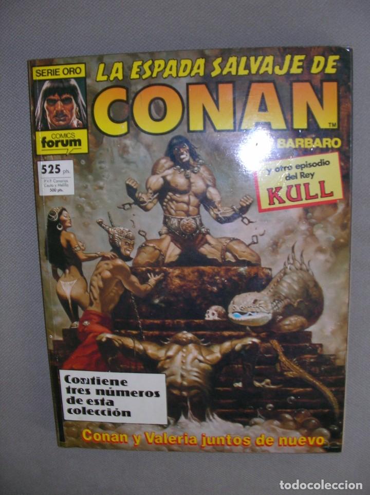 C&oacute;mics: CONAN Y VALERIA - Foto 1