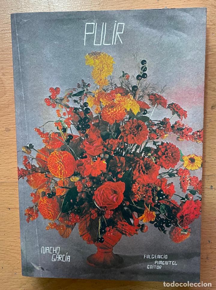 C&oacute;mics: PULIR, Nacho Garcia - Foto 1