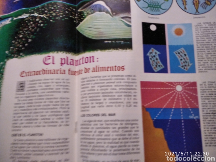 C&oacute;mics: El libro gordo de petete n6 - Foto 7