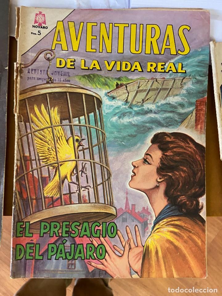 C&oacute;mics: aventuras de la vida real n&ordm; 114 correcto