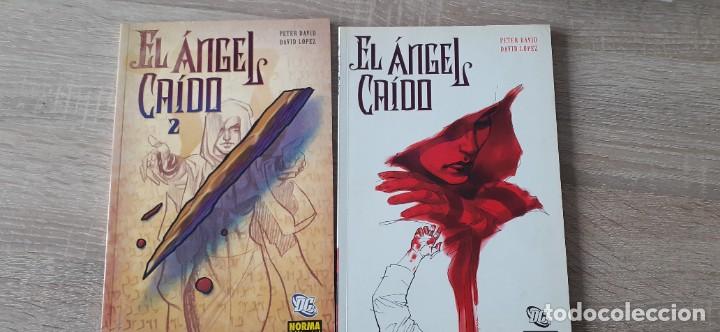 C&oacute;mics: EL ANGEL CAIDO 2 Tomos - Foto 1
