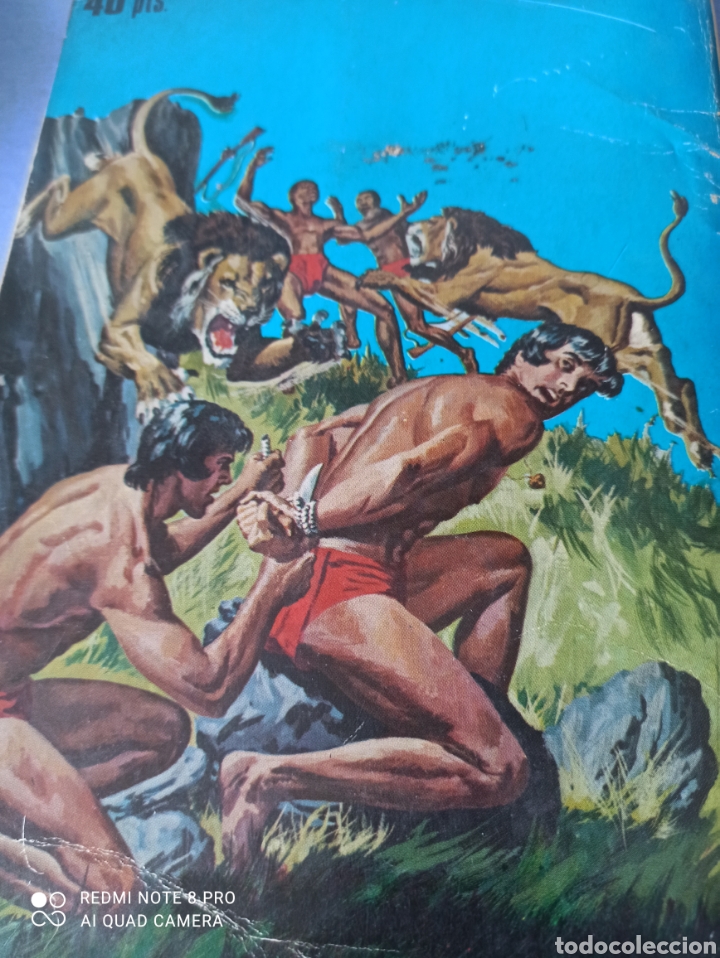 C&oacute;mics: Tono y Kono. Los enemigos de la selva - Foto 2