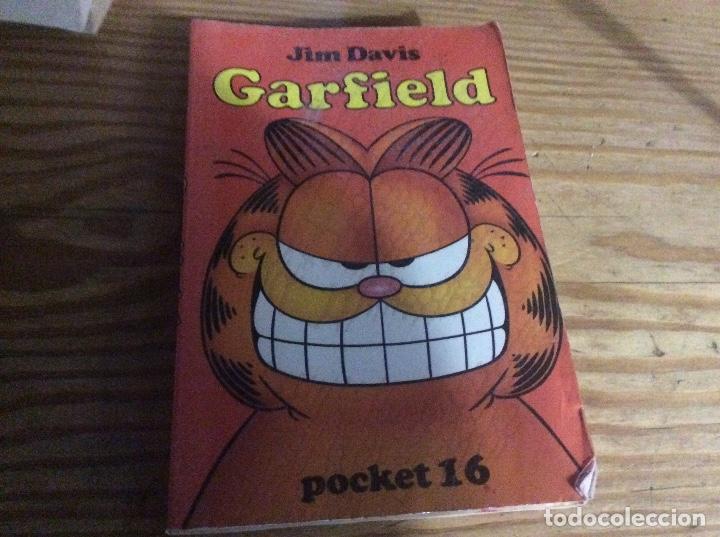 C&oacute;mics: Garfield en holandes jim davis - Foto 1