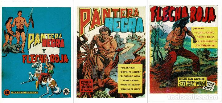 C&oacute;mics: Pantera Negra y Flecha Roja.Maga,completa original 97 ejemplares. - Foto 1