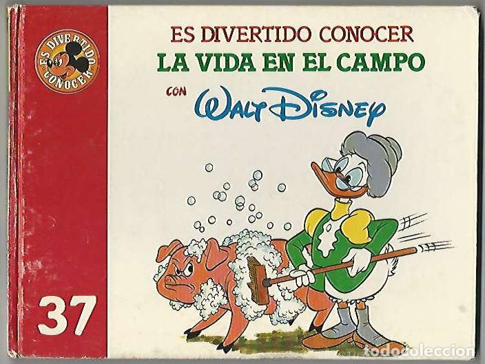 C&oacute;mics: Club internacional del libro. 37. Es divertido conocer. - Foto 1