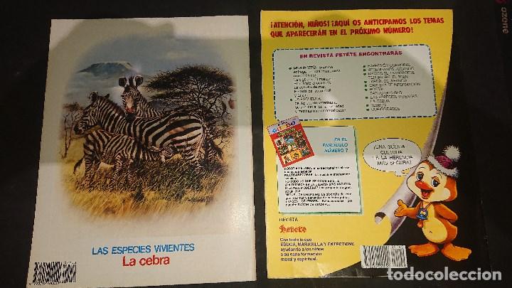 C&oacute;mics: LOTE DE 35 TEBEOS , PETETE , LEER DESCRIPCION - Foto 35