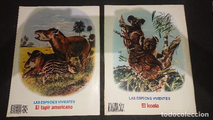 C&oacute;mics: LOTE DE 35 TEBEOS , PETETE , LEER DESCRIPCION - Foto 37