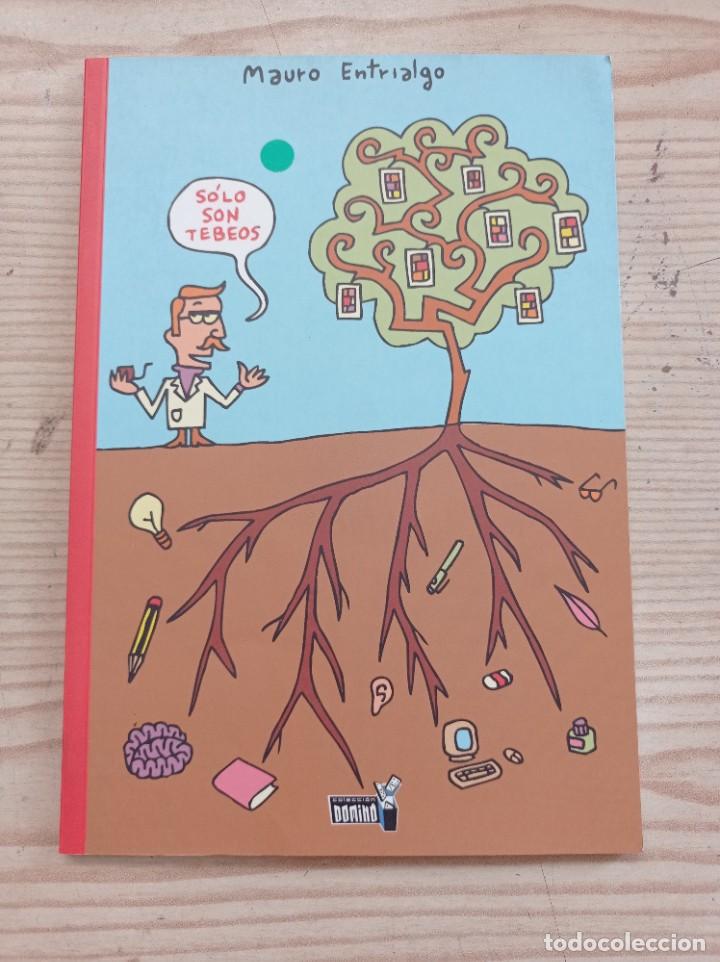 C&oacute;mics: Solo Son Tebeos - Mauro Entrialgo - 2006 - Editorial Dolmen - Foto 1