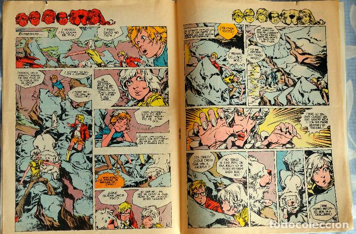 C&oacute;mics: Lote comics a&ntilde;os 70 - Foto 10