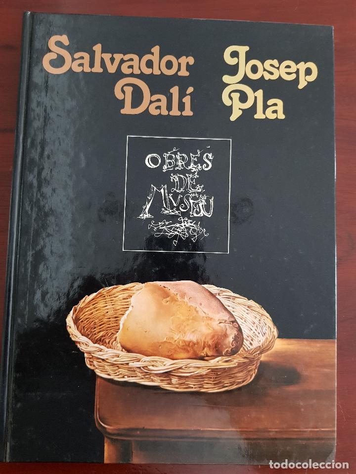 C&oacute;mics: Salvador Dali - Josep Pla - Foto 1