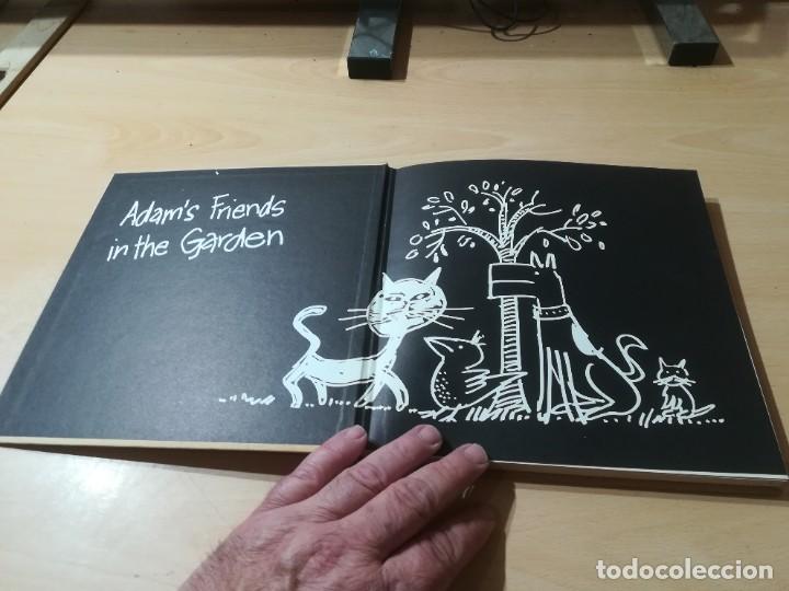 C&oacute;mics: TIMOTHY / MICHAEL JOSEPH / EN INGLES / AK48 - Foto 3
