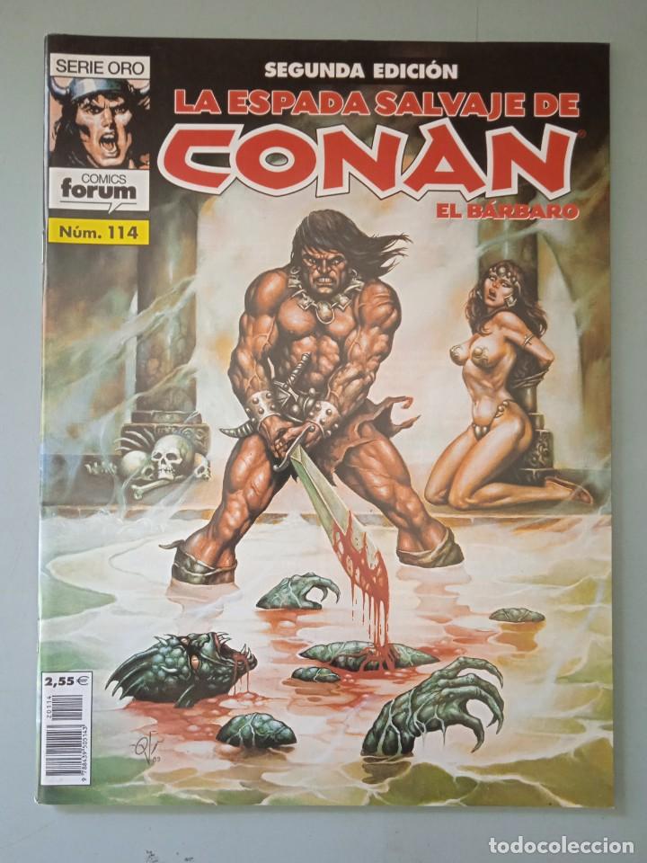 C&oacute;mics: La espada salvaje de Conan segunda edici&oacute;n 114 Forum - Foto 1