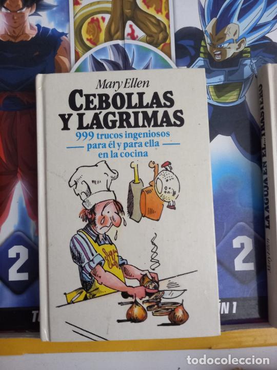 C&oacute;mics: MARY ELLEN CEBOLLAS Y LAGRIMAS - Foto 1