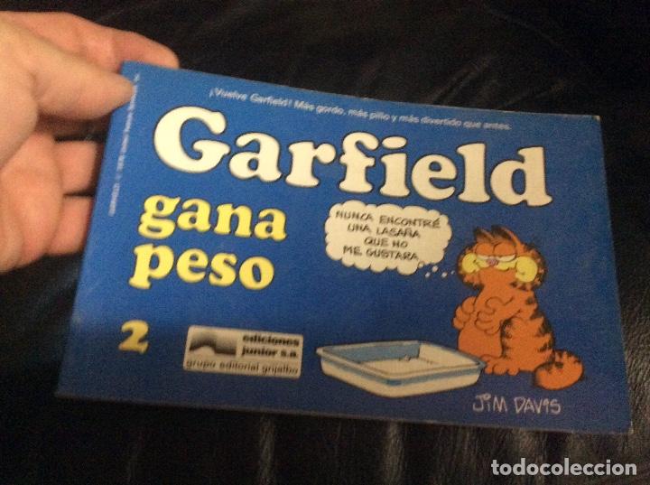 C&oacute;mics: Garfield gana peso Jim Davis - Foto 1