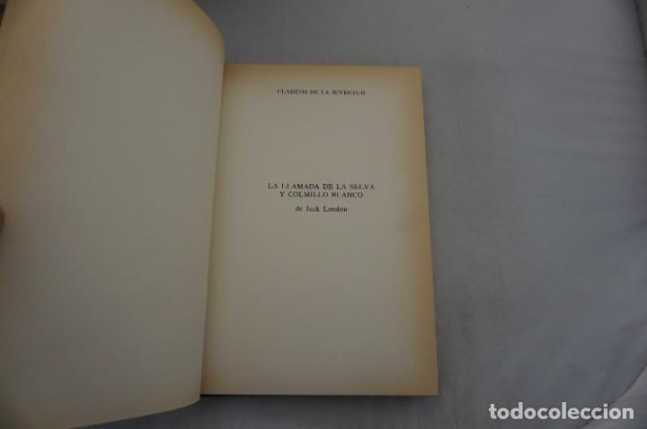 C&oacute;mics: 18D/ LA LLAMADA DE LA SELVA Y COLMILLO BLANCO - JACK LONDON / CLASICOS DE LA JUVENTUD - Foto 3