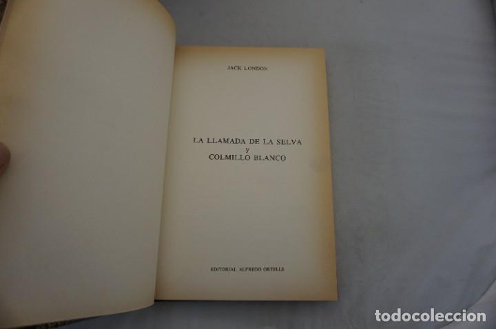 C&oacute;mics: 18D/ LA LLAMADA DE LA SELVA Y COLMILLO BLANCO - JACK LONDON / CLASICOS DE LA JUVENTUD - Foto 4
