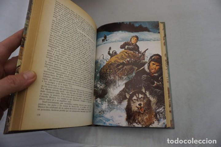 C&oacute;mics: 18D/ LA LLAMADA DE LA SELVA Y COLMILLO BLANCO - JACK LONDON / CLASICOS DE LA JUVENTUD - Foto 5