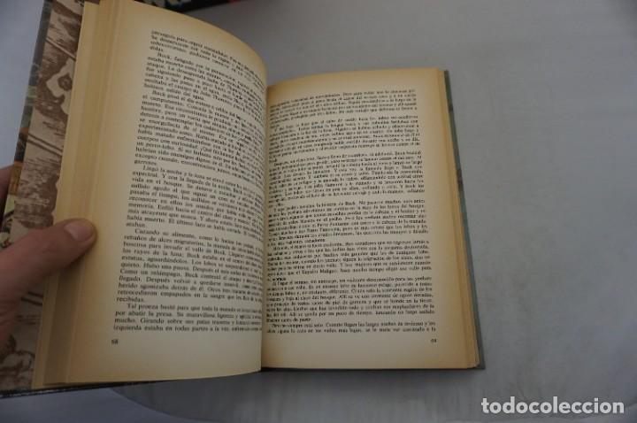 C&oacute;mics: 18D/ LA LLAMADA DE LA SELVA Y COLMILLO BLANCO - JACK LONDON / CLASICOS DE LA JUVENTUD - Foto 6
